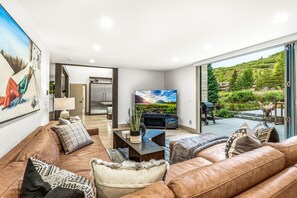 Smart TV, fireplace, books, video library