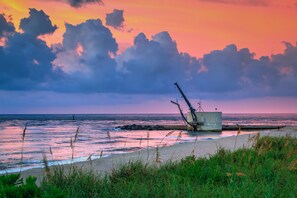 Nära stranden