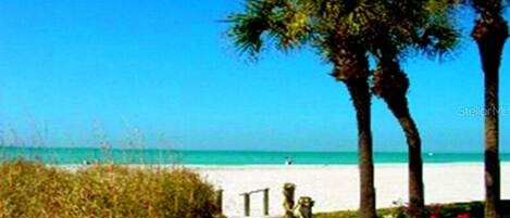 ビーチの近く、サンラウンジャー、ビーチタオル