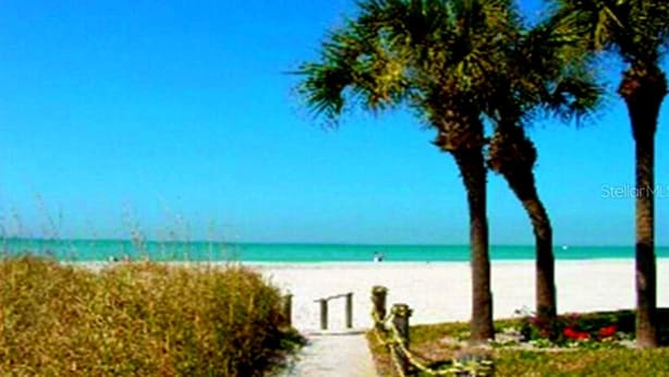 A pathway leading to a beach with palm trees and a clear blue sky. - Waterside studio in the heart of Treasure Island, walk to beach (Treasure Island)