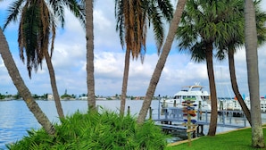 A marina with a white yacht docked, surrounded by palm trees and a grassy area. - Waterside studio in the heart of Treasure Island, walk to beach (Treasure Island)