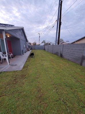 A backyard with a fenced area, a house with a red door, and a dog.