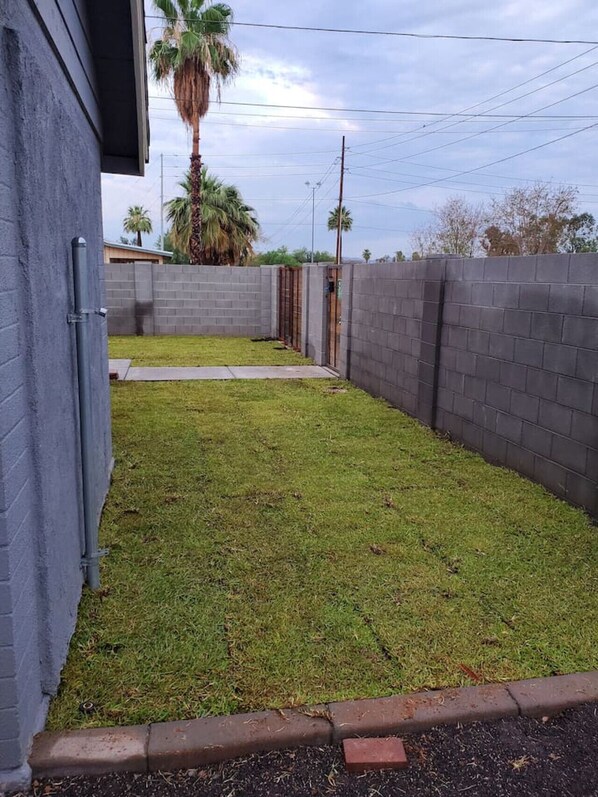 A fenced backyard with a grassy lawn, a concrete pathway, and a palm tree.