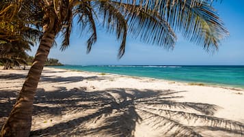 Vlak bij het strand