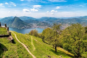 2 bedrooms, Internet - Ca Pinina in Sonvico (Lugano)