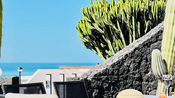 A table with a hat and a glass of wine, a cactus plant, and a view of the sea.