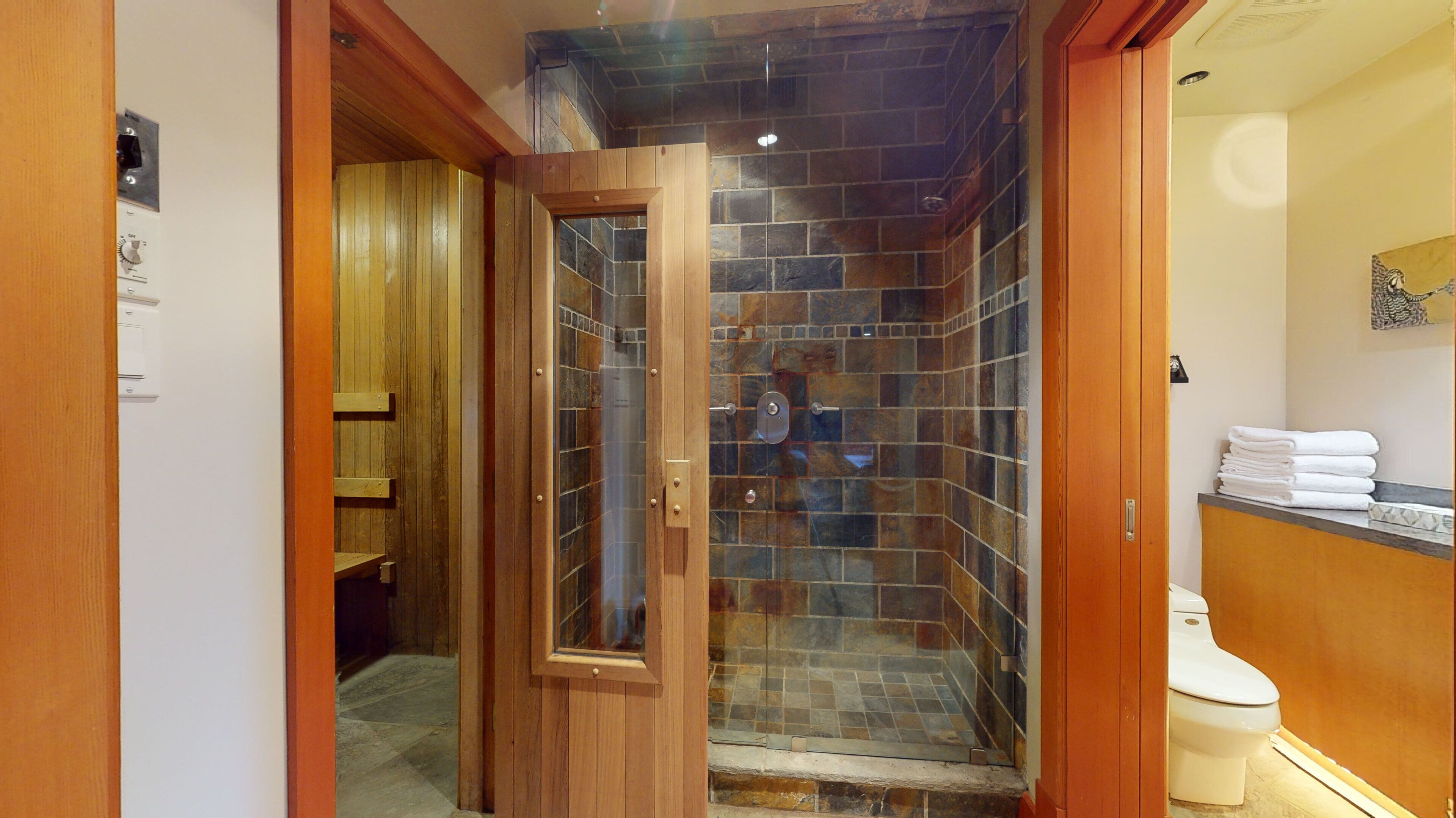 A bathroom with a shower area, wooden door, and a toilet.