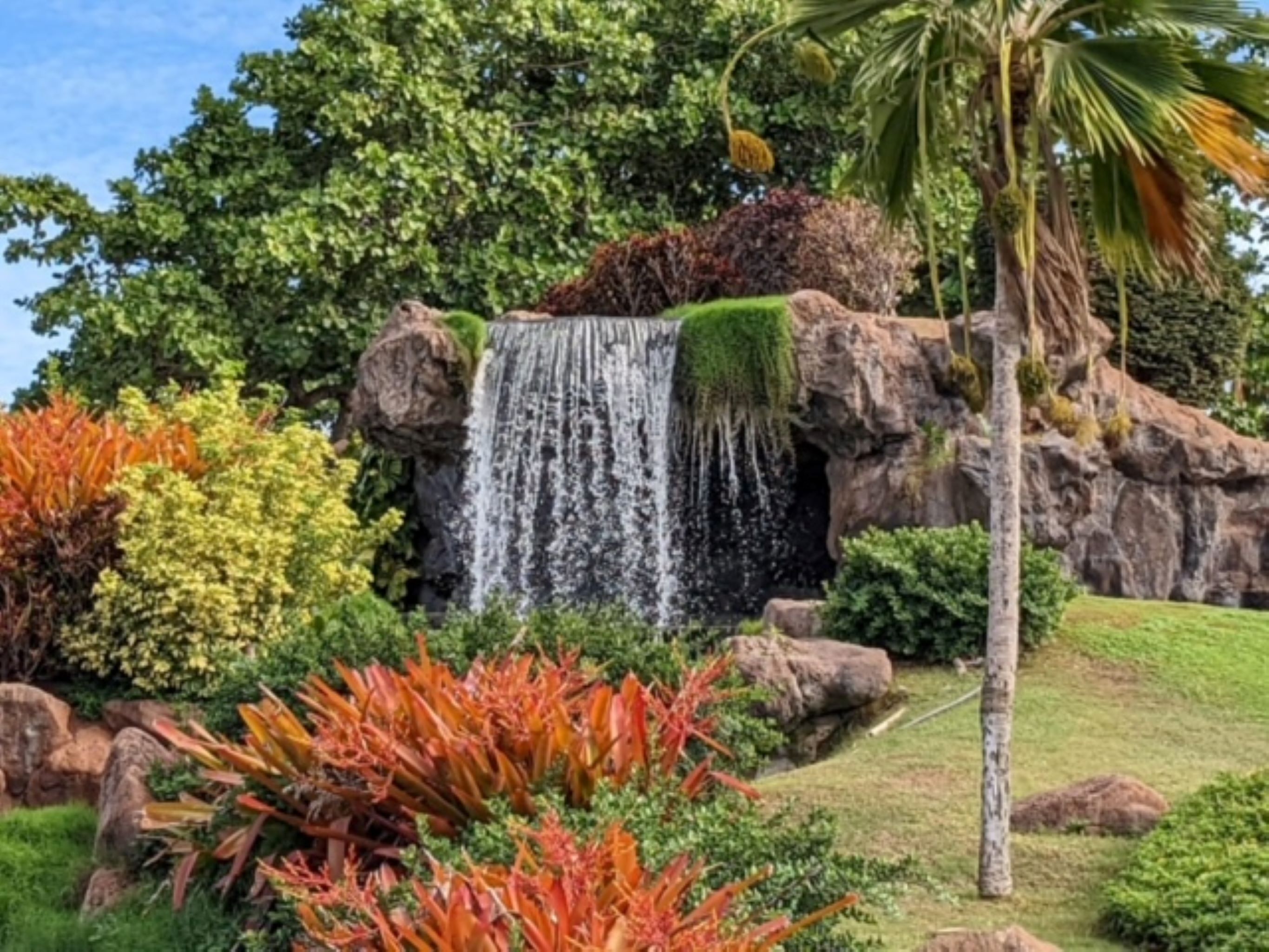 A waterfall cascading over rocks, surrounded by lush greenery and tropical plants.