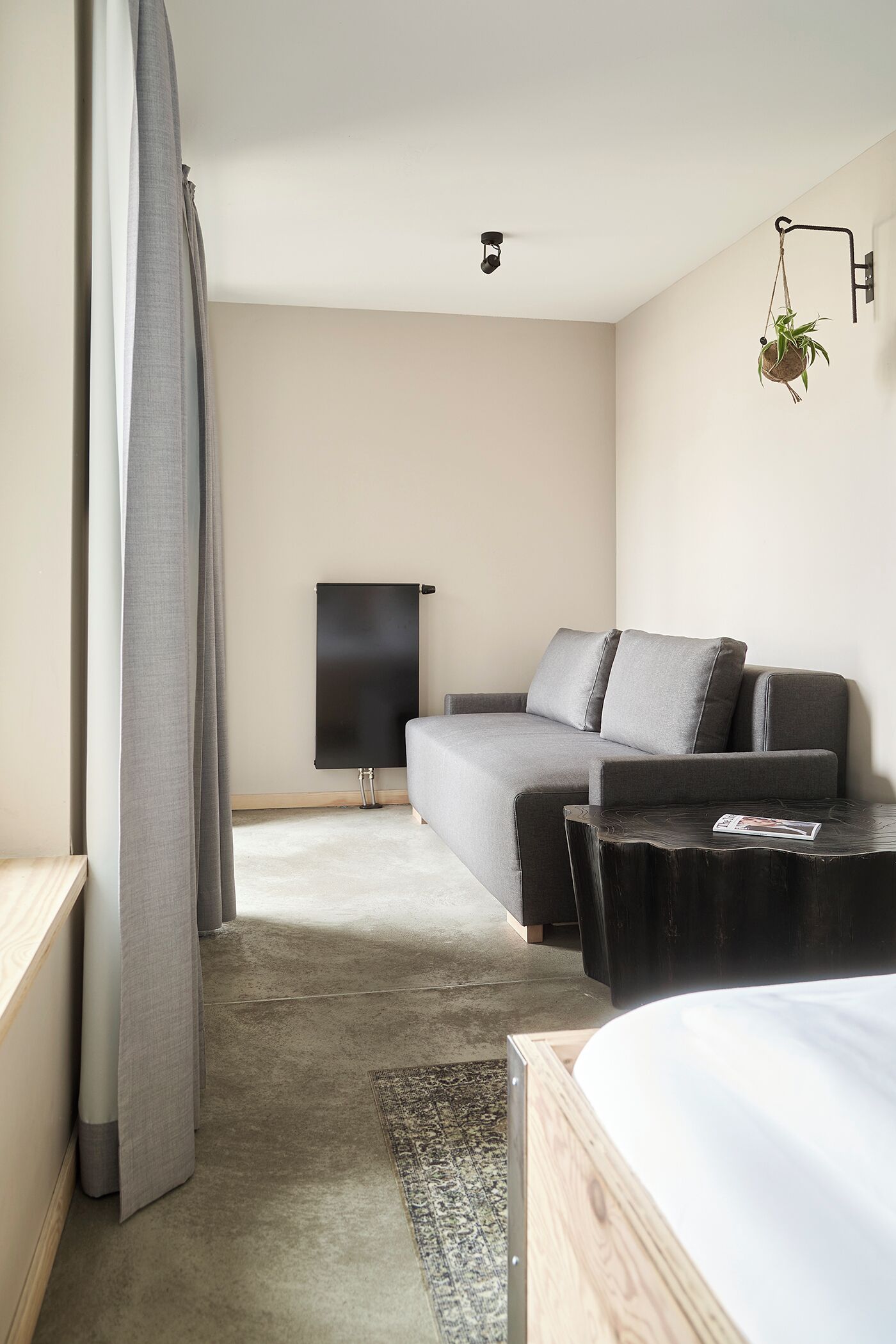 Ein modernes Hotelzimmer mit grauem Sofa, einem kleinen Holztisch, einer schwarzen TV-Konsole und einer hängenden Pflanze.