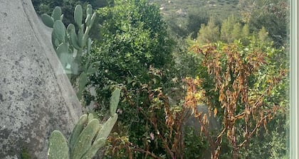 Romantic & cozy cottage w/fireplace; close to hiking trails & 30min to San Diego