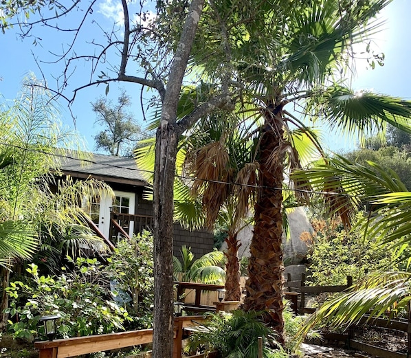 Un jardín tropical con terraza de madera, un edificio pequeño con techo inclinado y varias palmeras y helechos.