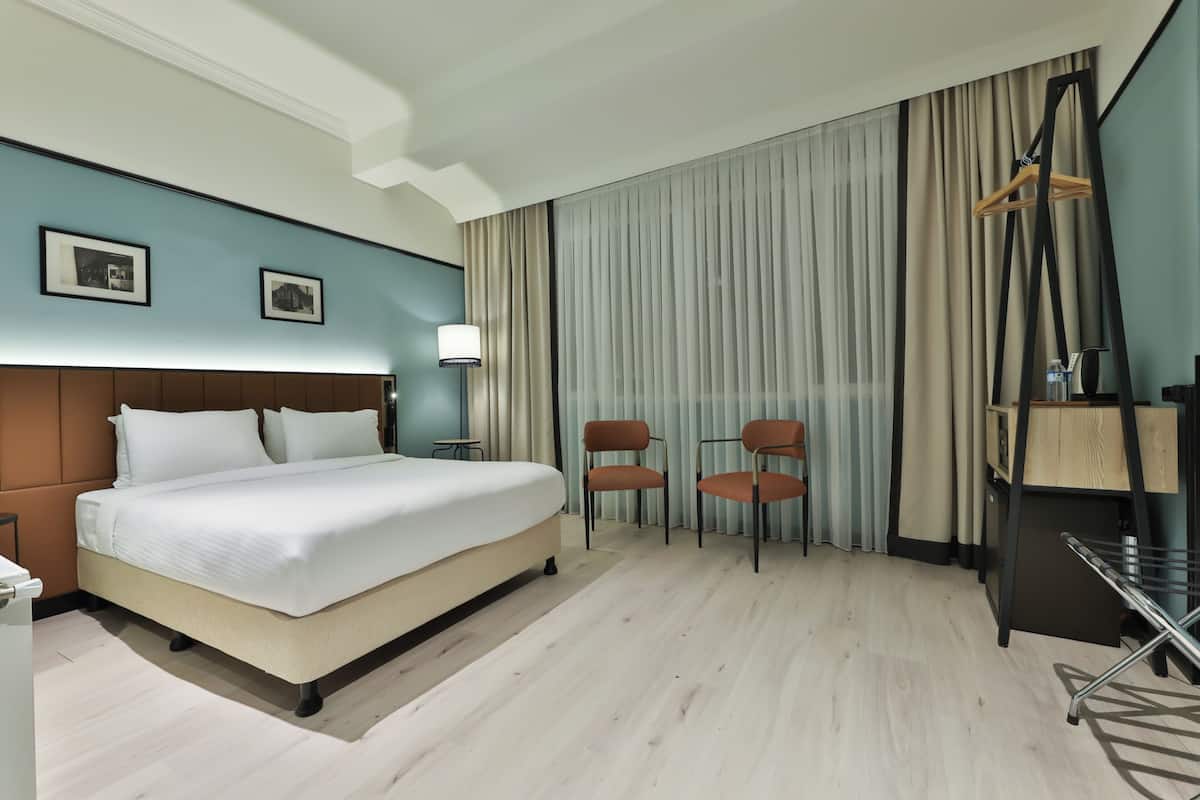 Minibar, in-room safe, blackout curtains, iron/ironing board