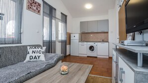A modern apartment with a living room, kitchenette, and laundry area. - Apartment Wenig (Vir)