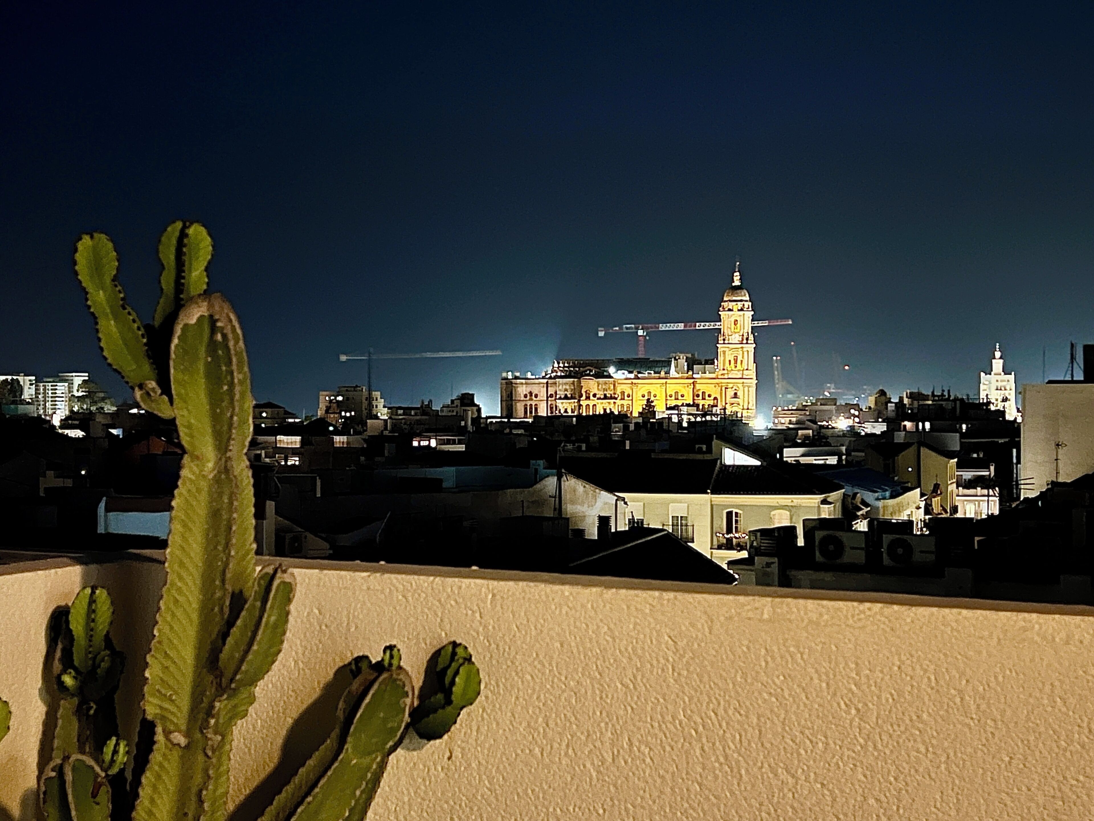 Un paisaje urbano nocturno con un edificio destacado que tiene una torre del reloj, rodeado de edificios residenciales y un cactus en primer plano.