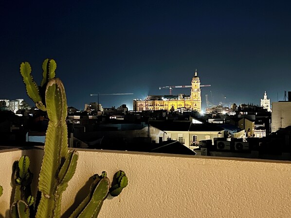 A nighttime cityscape with a prominent building featuring a clock tower, surrounded by residential buildings and a cactus in the foreground.