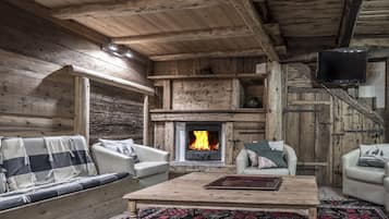 Televisie, een open haard, een dvd-speler en boeken