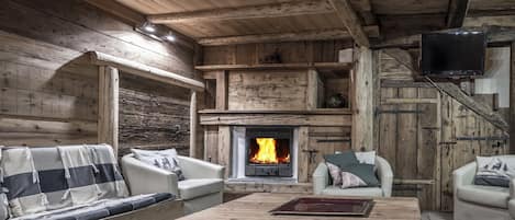 TV, fireplace, DVD player, books