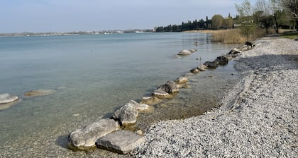 Exklusive Neubauwohnung mit Swimmingpool in ruhiger Lage