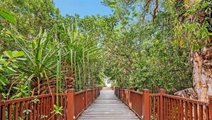Un pont en bois, doté de garde-corps métalliques, est entouré d’une végétation luxuriante.