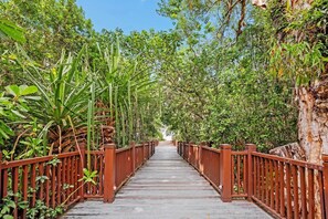 Walk across this serene bridge surrounded by lush greenery and trees.