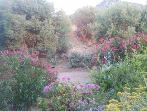 IN HOUSE SEA VIEW & ON ILE ROUSSE : T3 /4 PERS.  TERRACE/CLIM BEACH 800m away