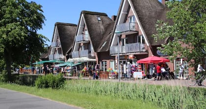 Luxurious FH near the dike, sauna, fireplace, garden, beach chair (8 adults & baby)