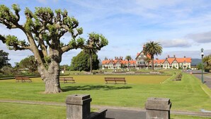 A park with a large tree, benches, and a building with a red roof.