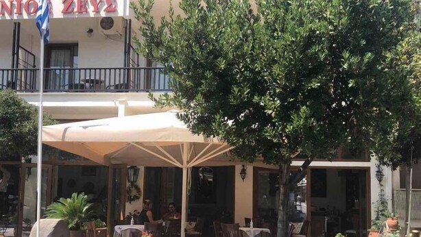 An outdoor seating area with tables and chairs under a canopy, surrounded by potted plants and a stone pathway. - Xenios Zeus (Aristotelis)
