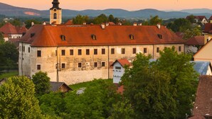 A historic building with a prominent tower, surrounded by lush greenery and other residential buildings. - House Kolpa Paradise Whirlpool And Sauna (Metlika)