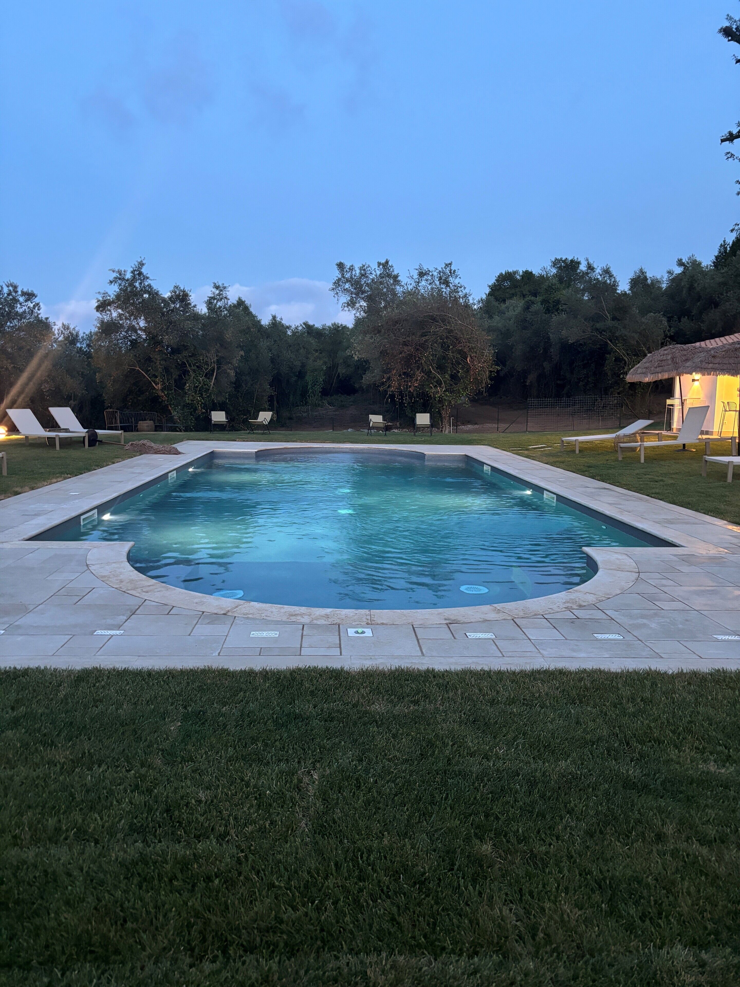 A rectangular swimming pool with a tiled deck, surrounded by grass and trees.