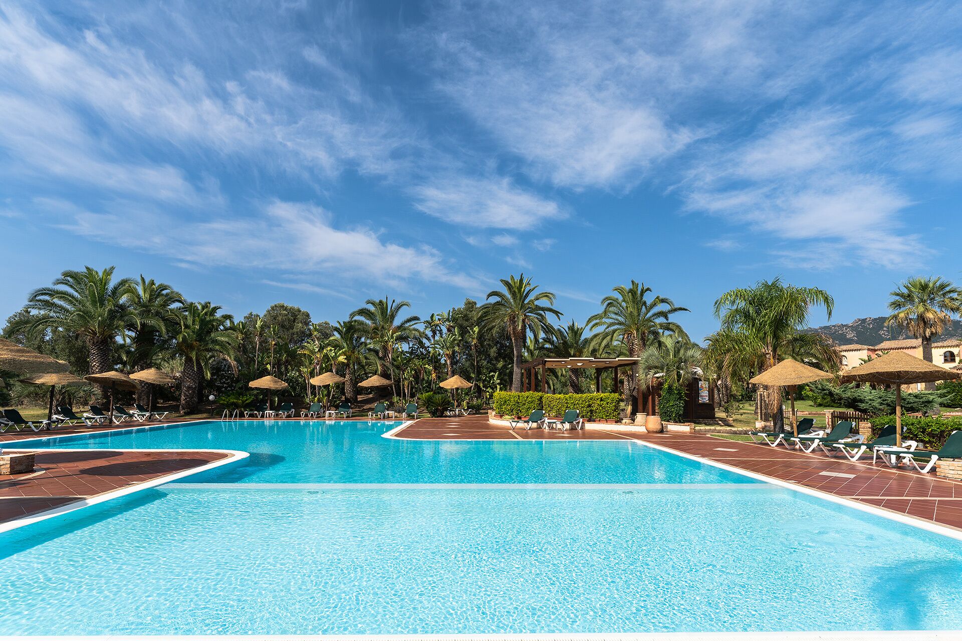 Una amplia piscina exterior con varias pistas, rodeada de palmeras y zonas de sombra con sombrillas.
