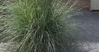 TOP renoviertes Ferienhaus am Meer / WLAN free