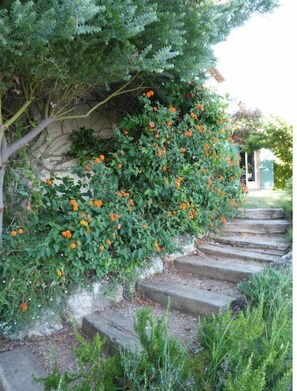 A stone staircase leading up to a house, surrounded by lush greenery and orange flowers. - Exceptional villa with sea view, infinity pool - Presqu'île Saint-Tropez (La Croix-Valmer)