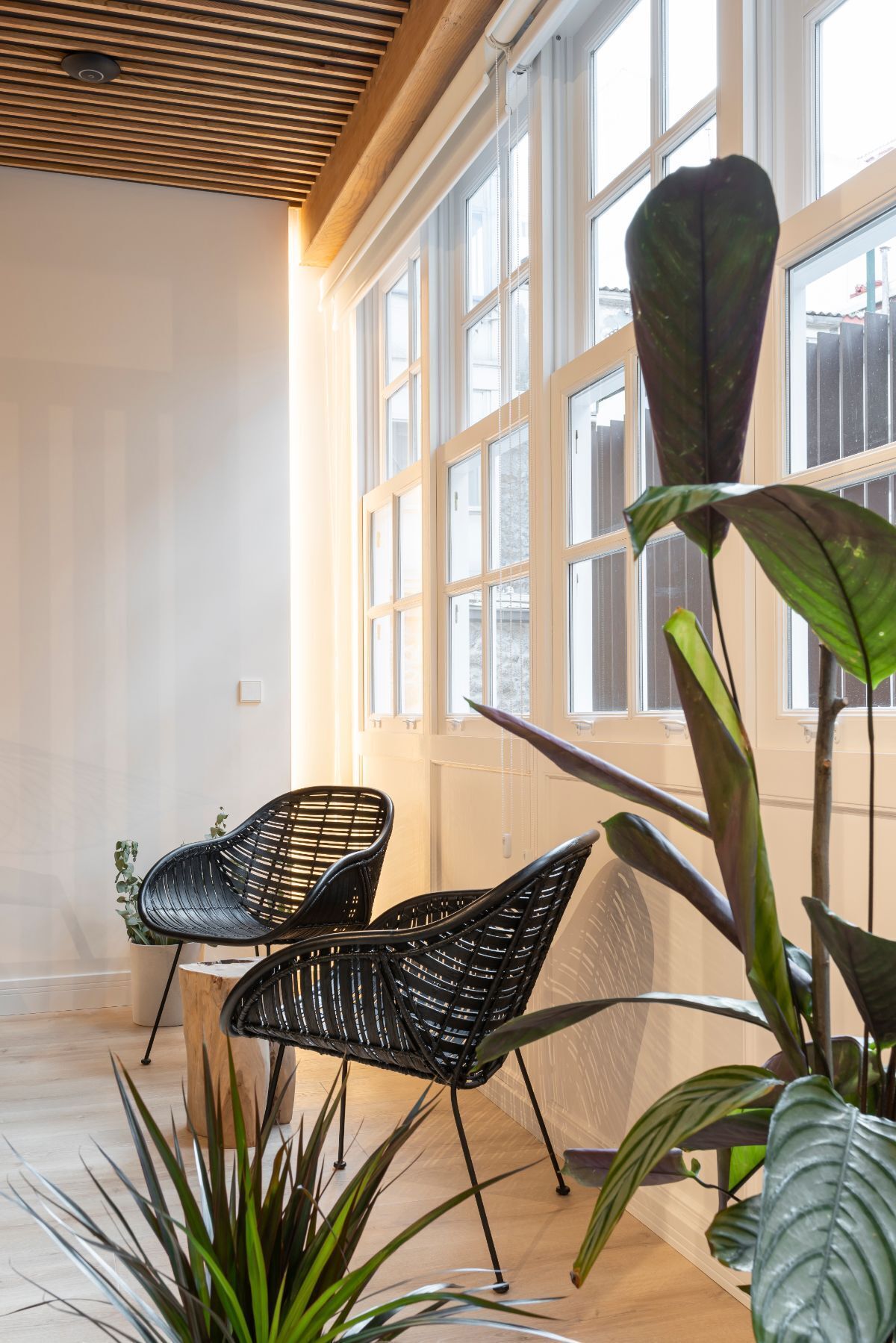 Ein Zimmer mit großen Fenstern, zwei schwarzen Webstühlen und verschiedenen Zimmerpflanzen.