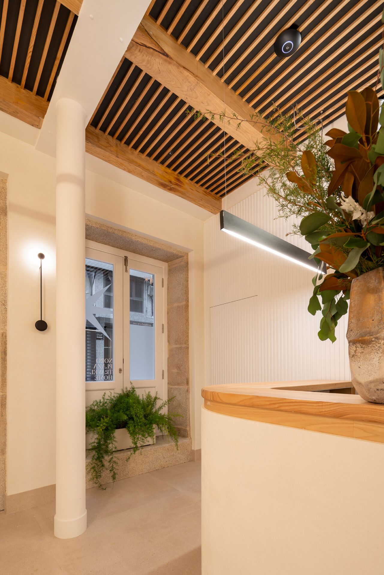 Um interior moderno com teto de madeira, uma grande planta em vaso e uma janela com vista para o exterior.