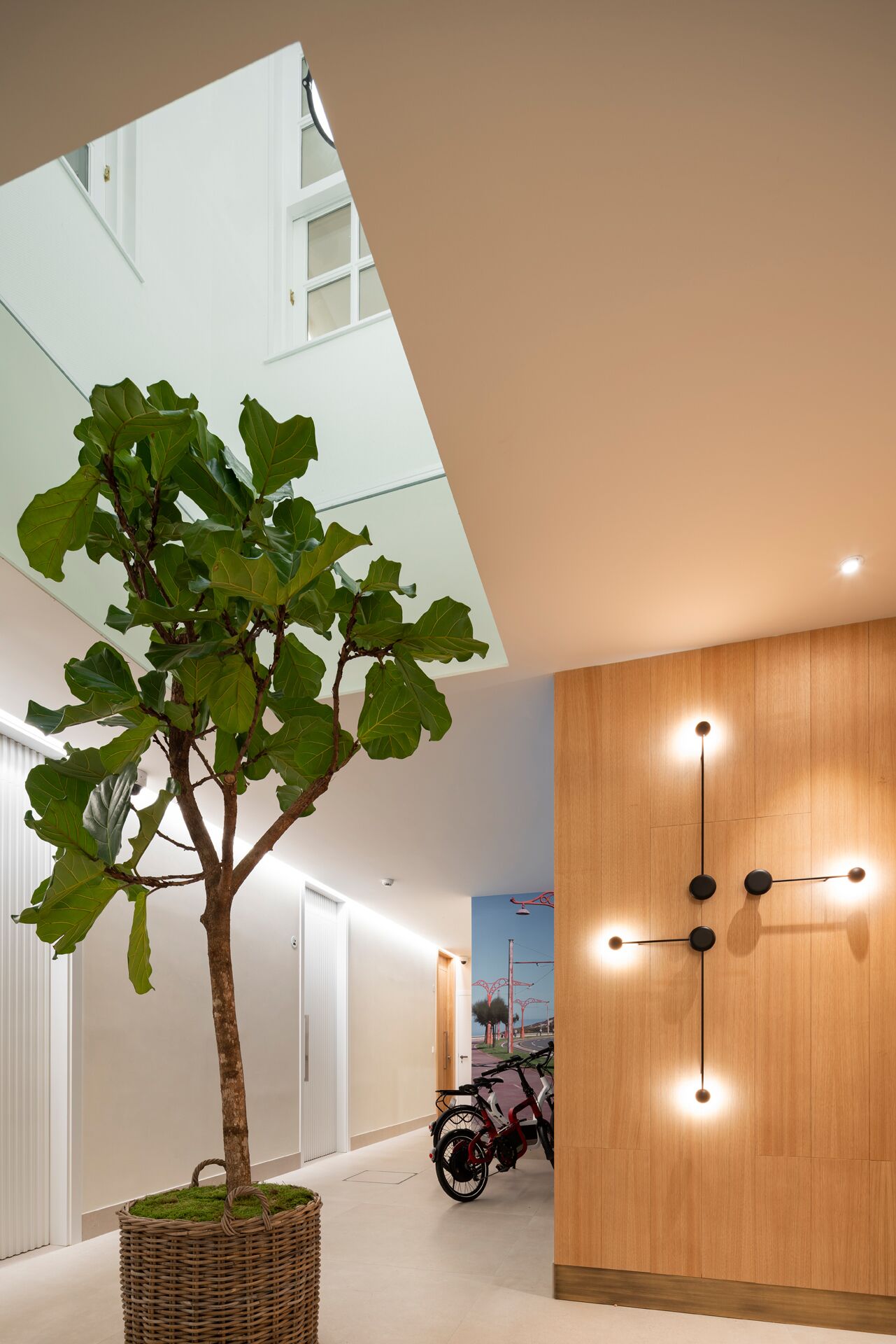 A modern interior with a large tree, a wall-mounted light fixture, and a bicycle.