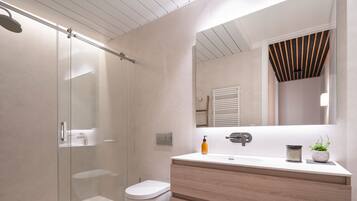 A modern bathroom with a glass shower enclosure, a white toilet, and a wooden vanity with a mirror.