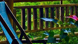 A wooden deck with a view of the ocean and lush greenery. - Eliza Bungalow, luxury with sea view in Trancoso (Trancoso)