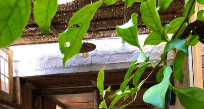 Eliza Bungalow, luxury with sea view in Trancoso