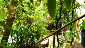 A wooden staircase surrounded by lush greenery and a bamboo structure. - Eliza Bungalow, luxury with sea view in Trancoso (Trancoso)
