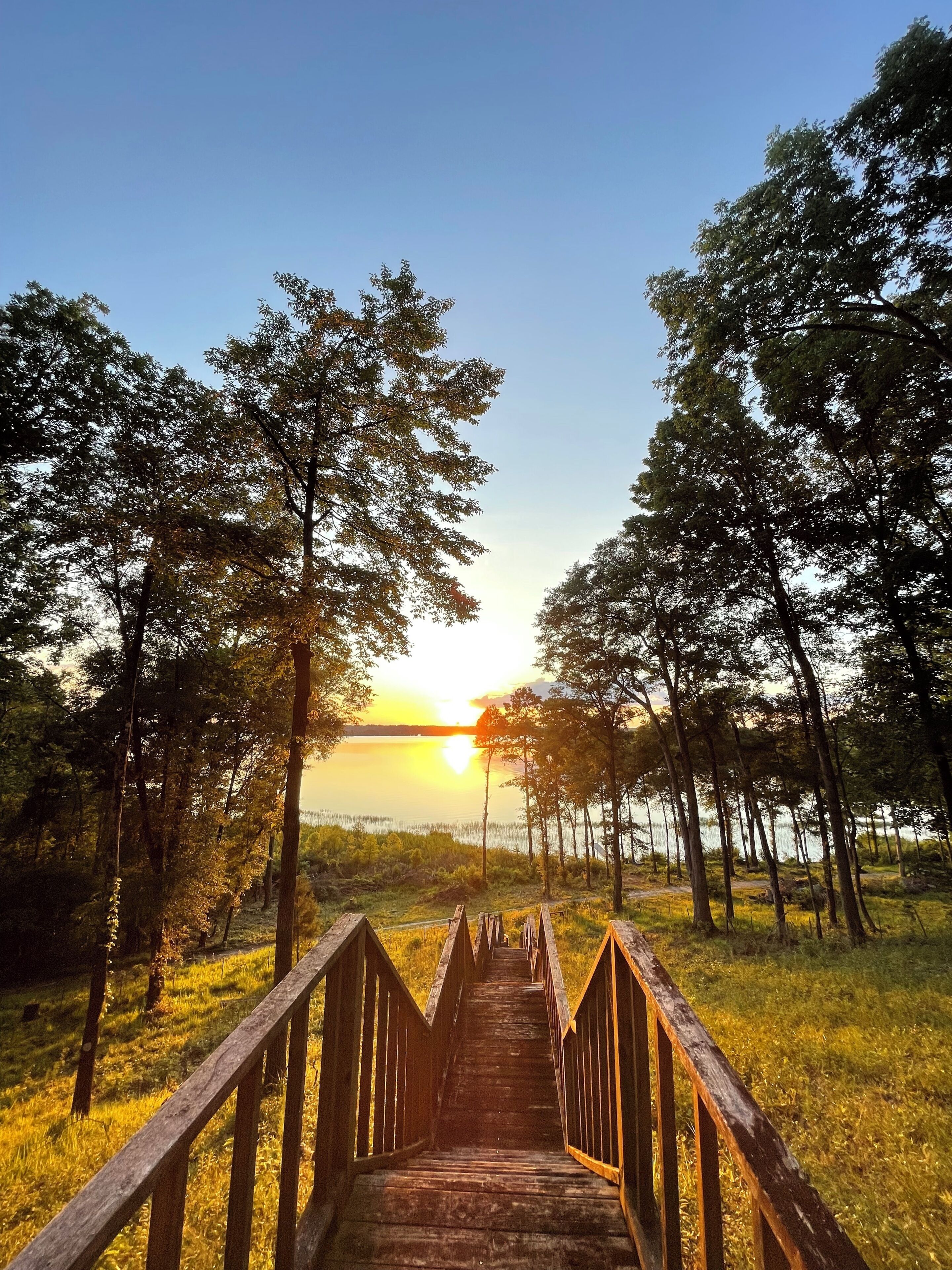A wooden pathway leading to a body of water with trees on either side.