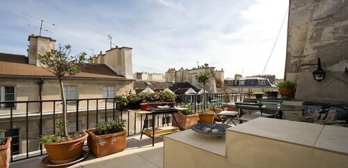 Cradle of French Luxury Ile ST-Louis 400yr old rooftop vintage gem 