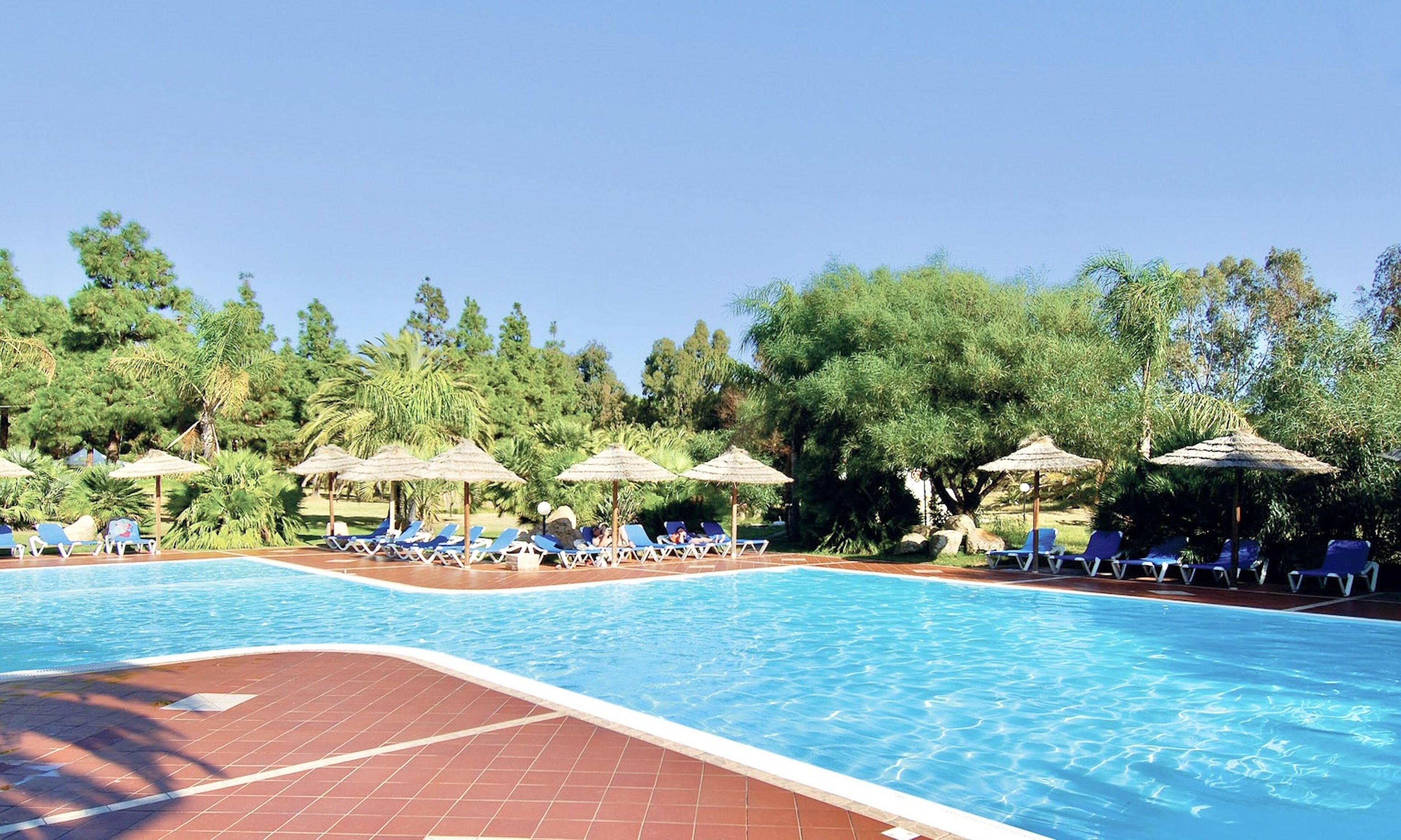 A swimming pool with lounge chairs and umbrellas, surrounded by trees.