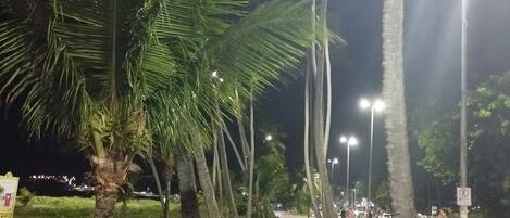 A nighttime street with palm trees, a red pathway, and a brick sidewalk.