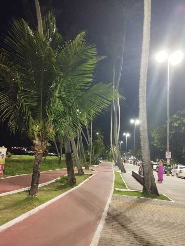 Calle iluminada de noche con palmeras, un camino rojo y aceras de ladrillo.
