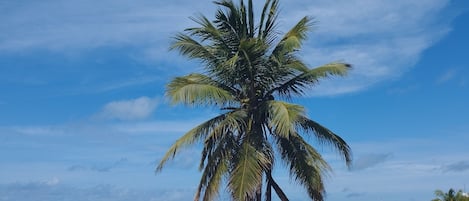 På stranden och vit sandstrand