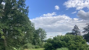 A lush garden with various plants and flowers, including red roses, under a clear blue sky with scattered clouds. - Villa overlooking the countryside (La Chapelle-Saint-Sauveur)