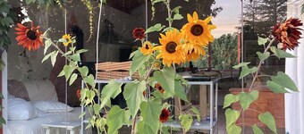 Villa overlooking the countryside