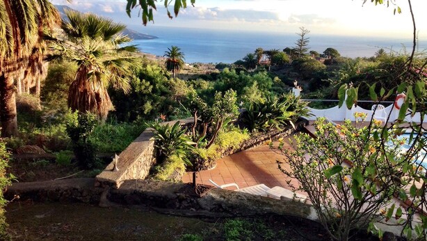 Un jardin luxuriant avec une piscine, des palmiers et une vue sur la mer.