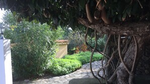 Un chemin de pierres qui traverse un jardin agrémenté d’un grand arbre et de divers arbustes.